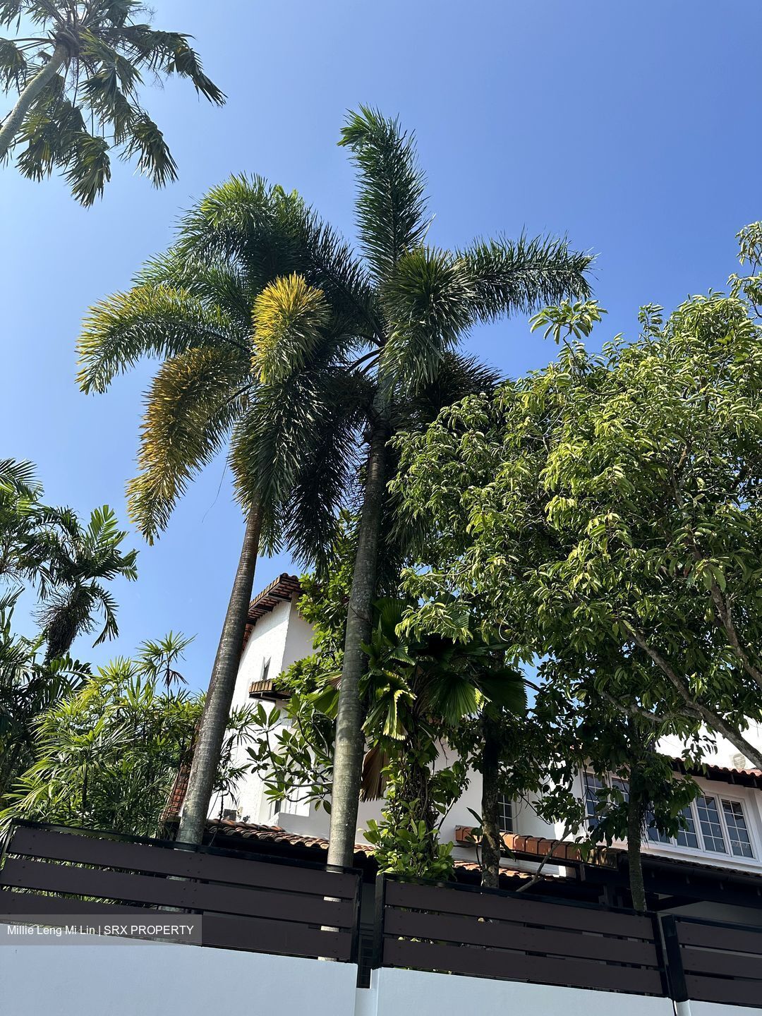 Clementi Green (D21), Semi-Detached #588261401